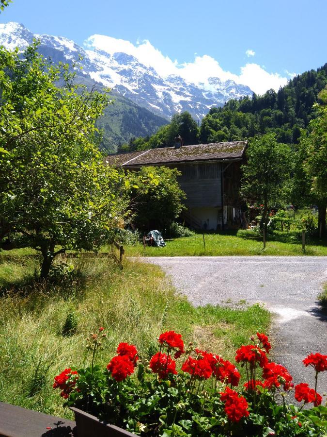 Ferien Cottage Flueehblueemli Штехельберг Экстерьер фото